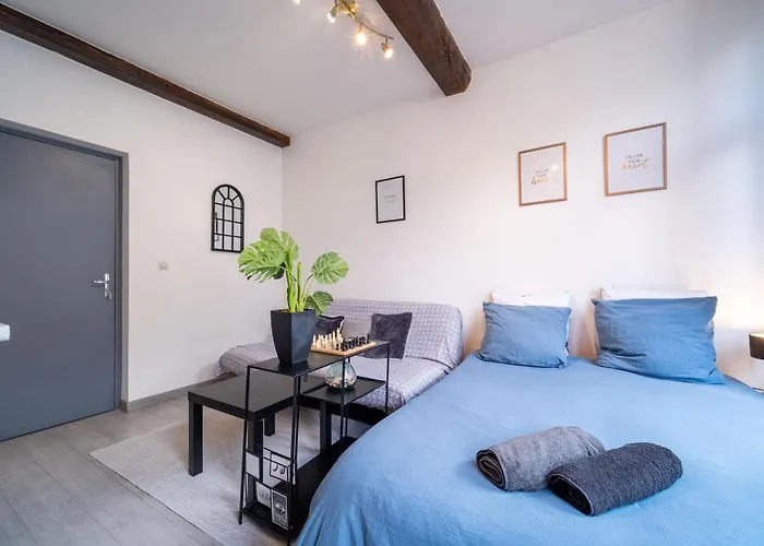 Tiptop Lägenhet Lille